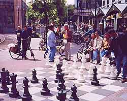 Amsterdam Events, Festivals and Things to Do