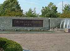 Lexington Horse Statues Th