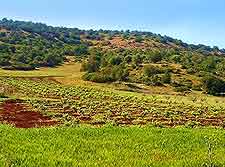 Green Mountains view