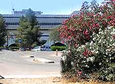 Further view of Tripoli International Airport (TIP)
