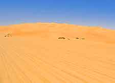 Zallaf Sand Dunes image