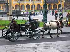 Tourist photograph, showing the Calesas Clasicas
