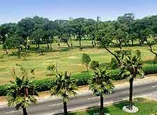 View of local course
