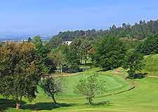 Scenic photo of local course