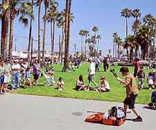 Los Angeles Parks Beach Ven