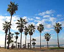 Los Angeles Venice Beach2