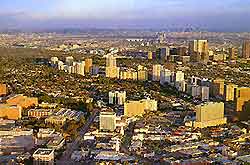 Los Angeles View11