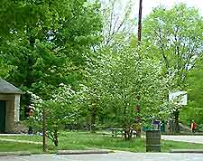 Louisville Cherokee Park