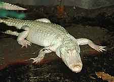 Louisville Zoo2