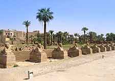 View of the Avenues of the Sphinxes