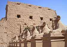 Photo of the Temple of Karnak