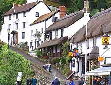 Photo of local shopping scene