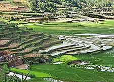 Fianarantsoa Vineyards image