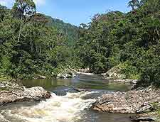 Ranomafana National Park (Parc National Ranomafana) picture