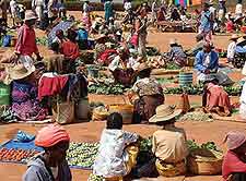 Antananarivo market view