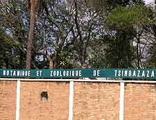 Tsimbazaza Zoo and Botanical Garden picture