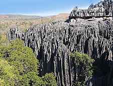 View across Tsingy de Bemaraha Strict Nature Reserve (Tsingy de Bemaraha Reserve Naturelle)