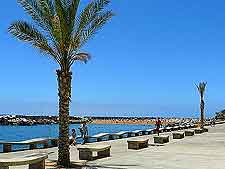 Picture of Calheta Beach