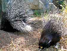 Photo taken at the Lilongwe Nature Reserve and Zoo