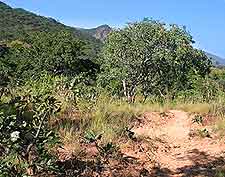 Nyika National Park photograph