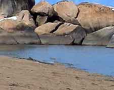 Salima waterhole photo