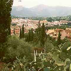 Restaurants in Mallorca