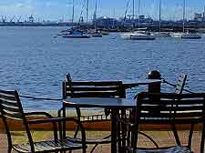 Harbourfront dining view