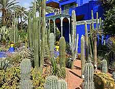Picture of the Jardin Majorelle and Museum of Islamic Art