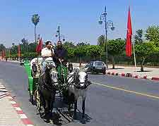 Photo of road, shared with horse and carriages