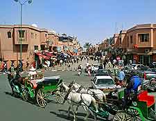 Pcture of tourists enjoying horse and carriage rides