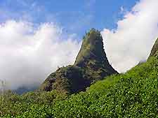 Maui Ioa Needle