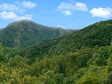 Further picture of the Black River Gorges National Park