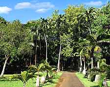 Royal Botanical Gardens of Pamplemousses photo