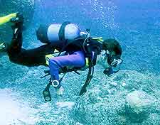 Photo of diver exploring the coral reef of Mauritius