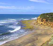 Melbourne Beaches