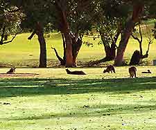 Hobart Golf Courses