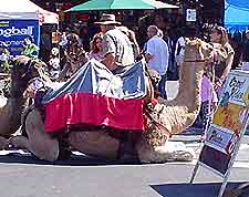 Melbourne Markets