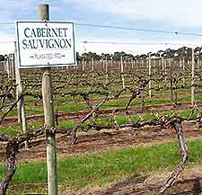 Melbourne Vineyards and Wines