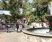 Picture showing locals and tourists in central park