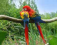 Photo taken at Champrepus Zoo (Zoo de Champrepus)