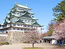 Picture of cherry blossom at the castle
