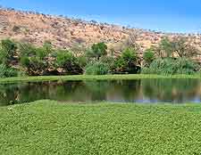View of the Daan Viljoen Game Park, after seasonal rainfall
