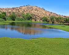 Further photograph of the Daan Viljoen Game Park