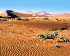 Namib Naukluft National Park landscape view