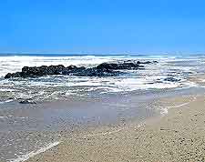 Skeleton Coast picture