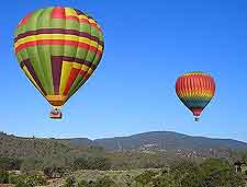 Photo of hot-air balloons high above the vineyards