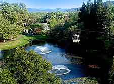 View of the aerial tram at the Sterling Vineyards