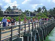 Naples Fl Pier View