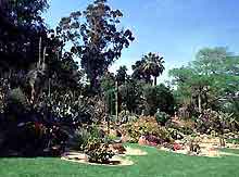 Naples Parks and Gardens