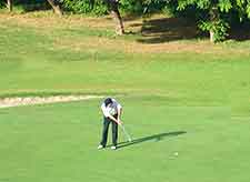 Picture of local club